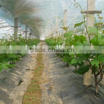 plastic film 6 mil tunnel plastic greenhouse film agriculture for vegetable and fruits