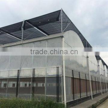 Multi-Span Greenhouse With Aquaponics Growing Systems For Agricultural Planting photo-5