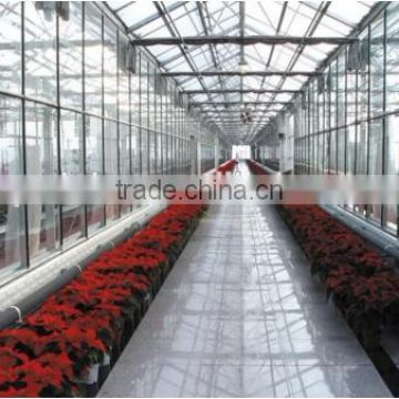 Factory cheap price film greenhouses for flowers