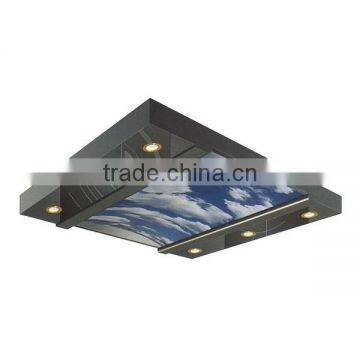 Fixture Stainless Steel Decorative Elevator Ceiling Panel photo-3