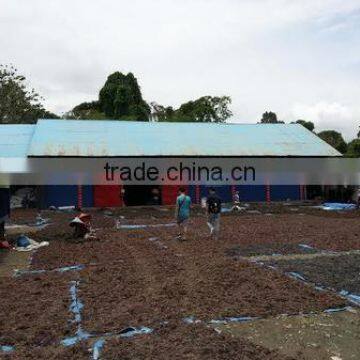 Euchema Spinosum With High Quality photo-2