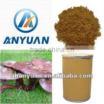 concentrate powder 100% Naturnal Ganoderma Extract powder