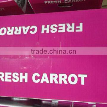 Wholesale Chinese Fresh Carrots With High Quality and Good Price photo-4