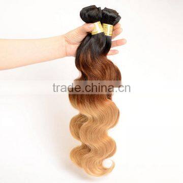 Body Wave 3 Tone Color Ombre Hair, 100% Natural Indian Human Hair Price List photo-4