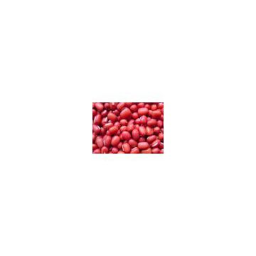 ORGANIC ADZUKI BEANS