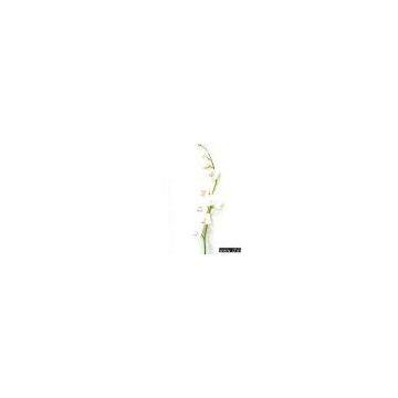 Sell Artificial Phalaenopsis Branch