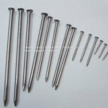 Common Round Nail photo-3