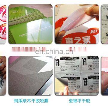 Glossy Adhesive Paper Flatbed Die Cutting Machine Fully Automatic With Hot Stamping,punching photo-4