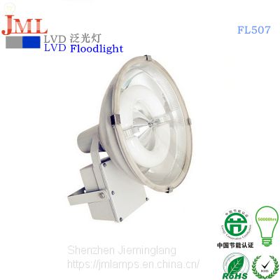 Round floodlight induction lighting source 100000hrs lifespan no  fading, not flickering JML-FL507 30W 50W 60W 80W 100W 120W 150W 200W 250W 300W