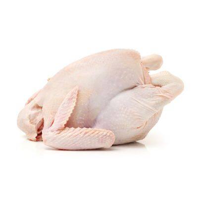 Premium Grade Halal Whole Chicken at Best Price