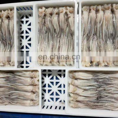 Good Quality BQF Frozen Squid Tentacle for Export photo-2