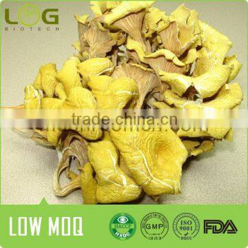 Dried Golden Oyster Mushroom