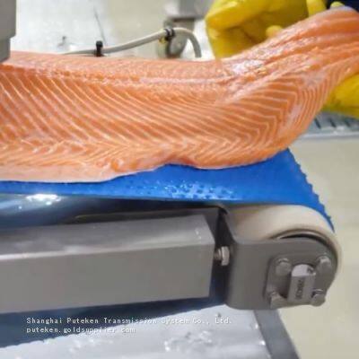 Easy Clean Homogeneous Belt for Food Industry photo-2