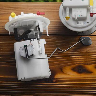 Fuel Pump for Dongfeng Fengshen AX3, Yixiang GS, AX5, AX7, A60, A9, MX5, MX6, S30, H30 photo-5