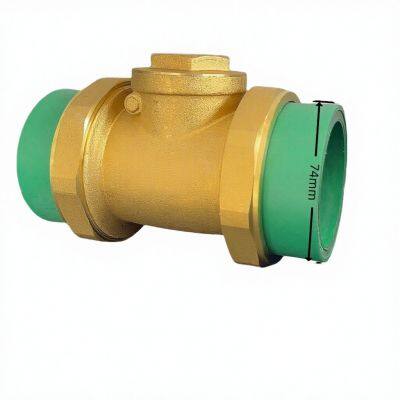 Manual Water PPR Brass Swing Check Non Return Valve DN20-DN63 Hebei Ychengxin Valve Factory
