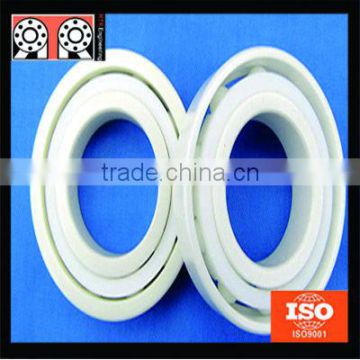 Chinses High Temperature Insert Full Ceramic Bearing