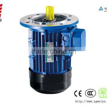 Three Phase 415v Electric Vehicle Motor