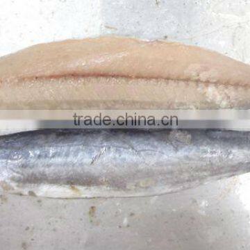 Spanish Mackerel New Filelts photo-6