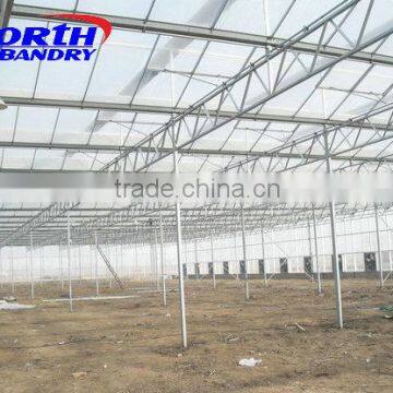 Commercial Greenhouse for Agriculture photo-2