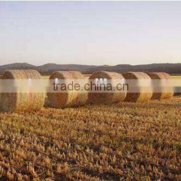 2015 New Hot Sale Bale Net, Craft Plastic Netting, Bale Wrap photo-6