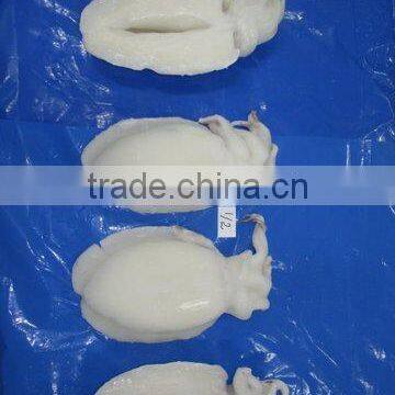 FROZEN CUTTLEFISH WHOLE CLEANED I F photo-4