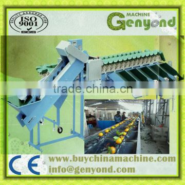 High capacity Vegetable and Fruit Grade Sorting Machine by weight