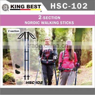 KING BEST Wholesale Carbon trekking pole 2-SECTION Hiking Pole nordic walking stick