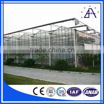 Customized Extrusion Alumionium/Low Cost Greenhouse photo-6