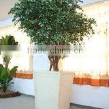 Artificial Banyan Tree