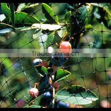 Plastic Nets used in Protect Against Birds