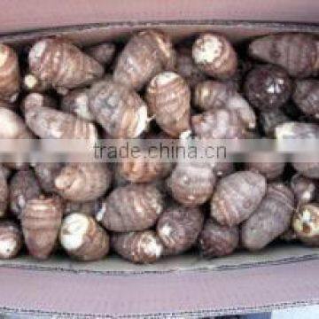 New Crop Frozen Taro With Competitive Export Price