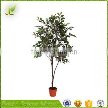 Wholesale 2016 True Trunk Low Price Artificial Banyan Tree for Indoor Decoration photo-5