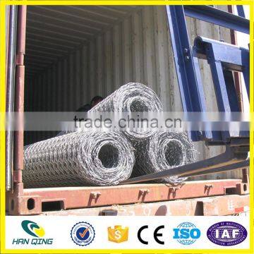 1/2"X1/2" Chicken Wire Mesh / Hexagonal Wire Netting photo-5