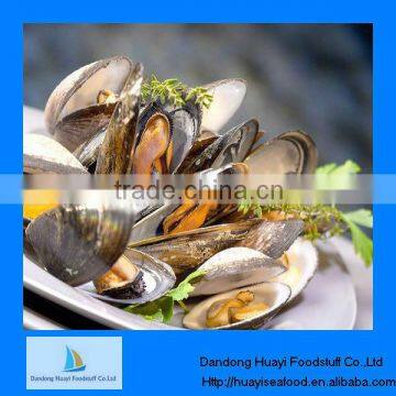 high quality mussel frozen