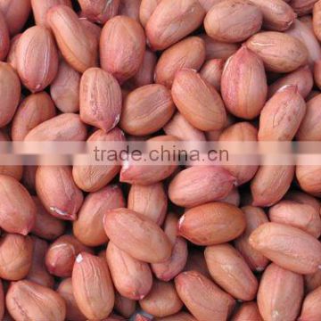 peanut kernels