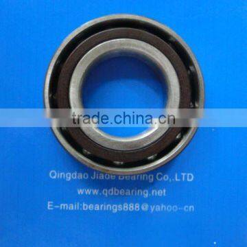 6009 2RS deep groove ball bearing