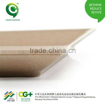 Fashion Design Biodegrable and Wholesale Simple Square Plate photo-6