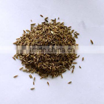Cumin Powder