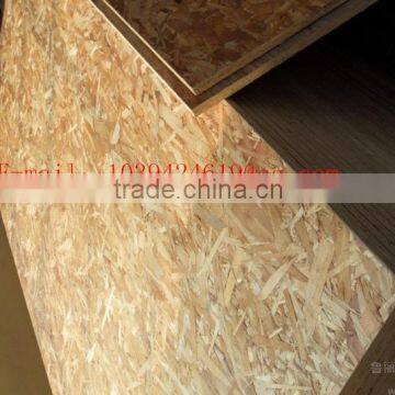 Linyi China 16.5mm E1 Osb Guanlin Wood Factory photo-3
