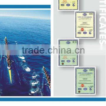 Greased ACSR Bare Conductor IEC61089