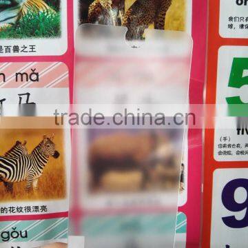 Custom Anti-reflective Tempered Glass photo-2