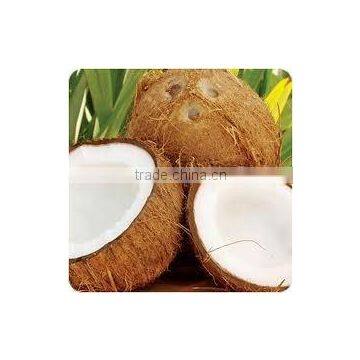 fresh mature husked Coconut