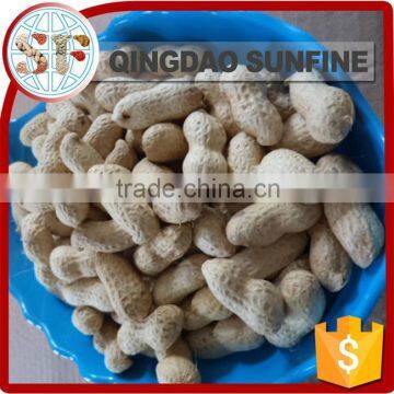 Price of peanuts seed in shell processing plant