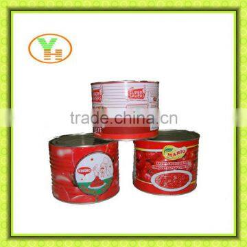 tomato paste processing plant, gino tomato paste, aseptic tomato paste, bulk tomato paste