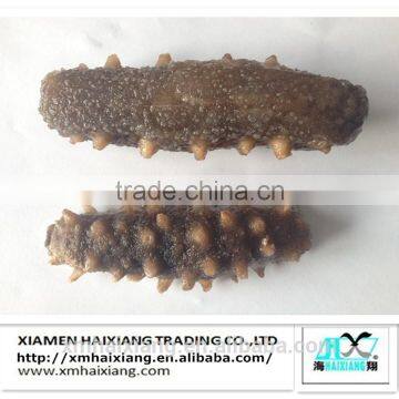 Frozen sea cucumbers for sale