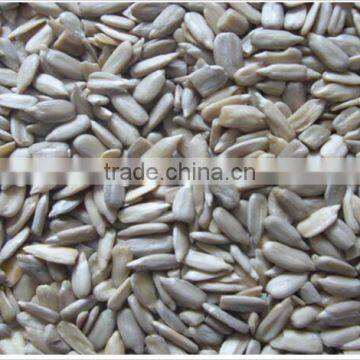 surpplying sunflower kernels for buyers