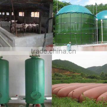 BOT/ CDM/TURN KEY biogas project/biomass power plant/Biogas generator power plant