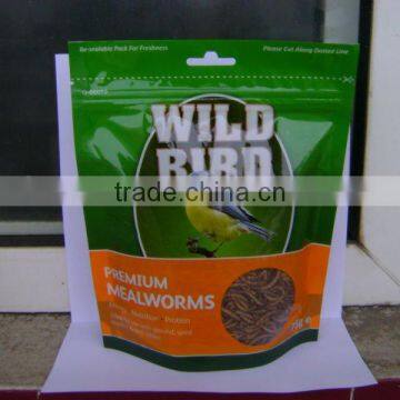 Mealworm