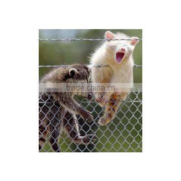 Barbed Wire Galvanized Steel photo-3