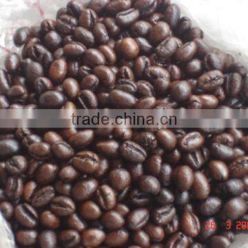 Robusta Coffee Bean photo-2